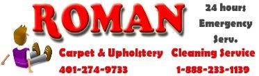 Avatar for Roman Carpet Cleaning