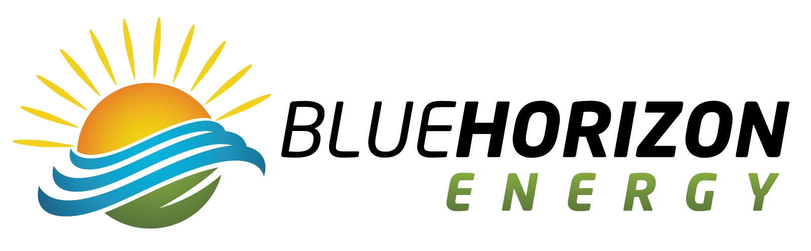 Avatar for Blue Horizon Energy