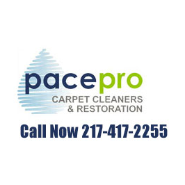 Avatar for PACE PRO Carpet Cleaners