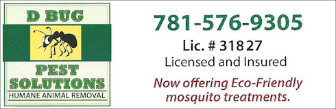 Avatar for D Bug Pest Solutions