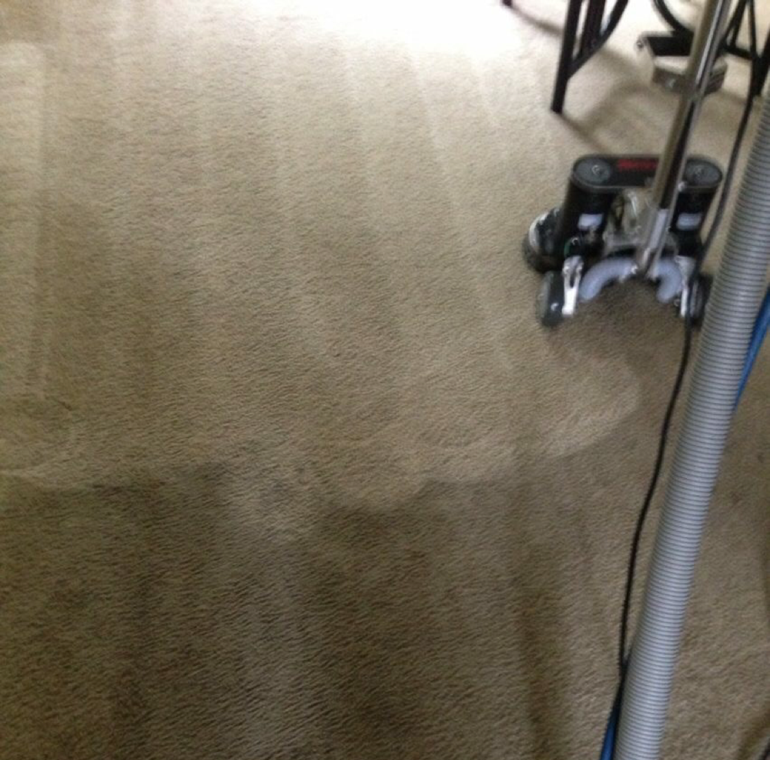 Avatar for Kinglyclean Carpet Service LLC