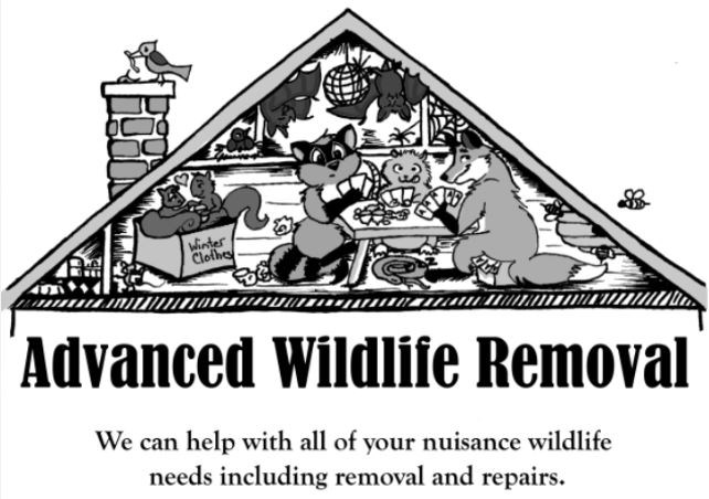 Advanced Wildlife Removal logo