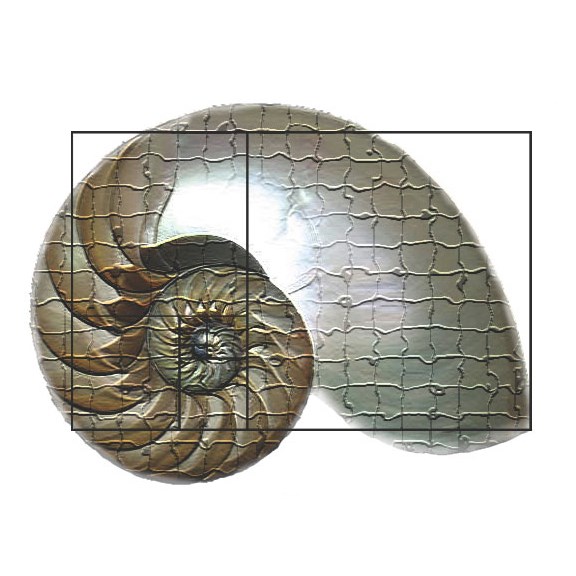 Logo for LandArc Landscaping & Design, LLC