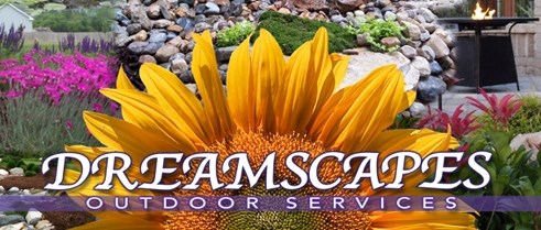 Avatar for Dreamscapes Outdoor Services