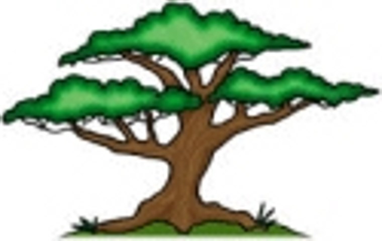Avatar for Express Tree & Landscaping