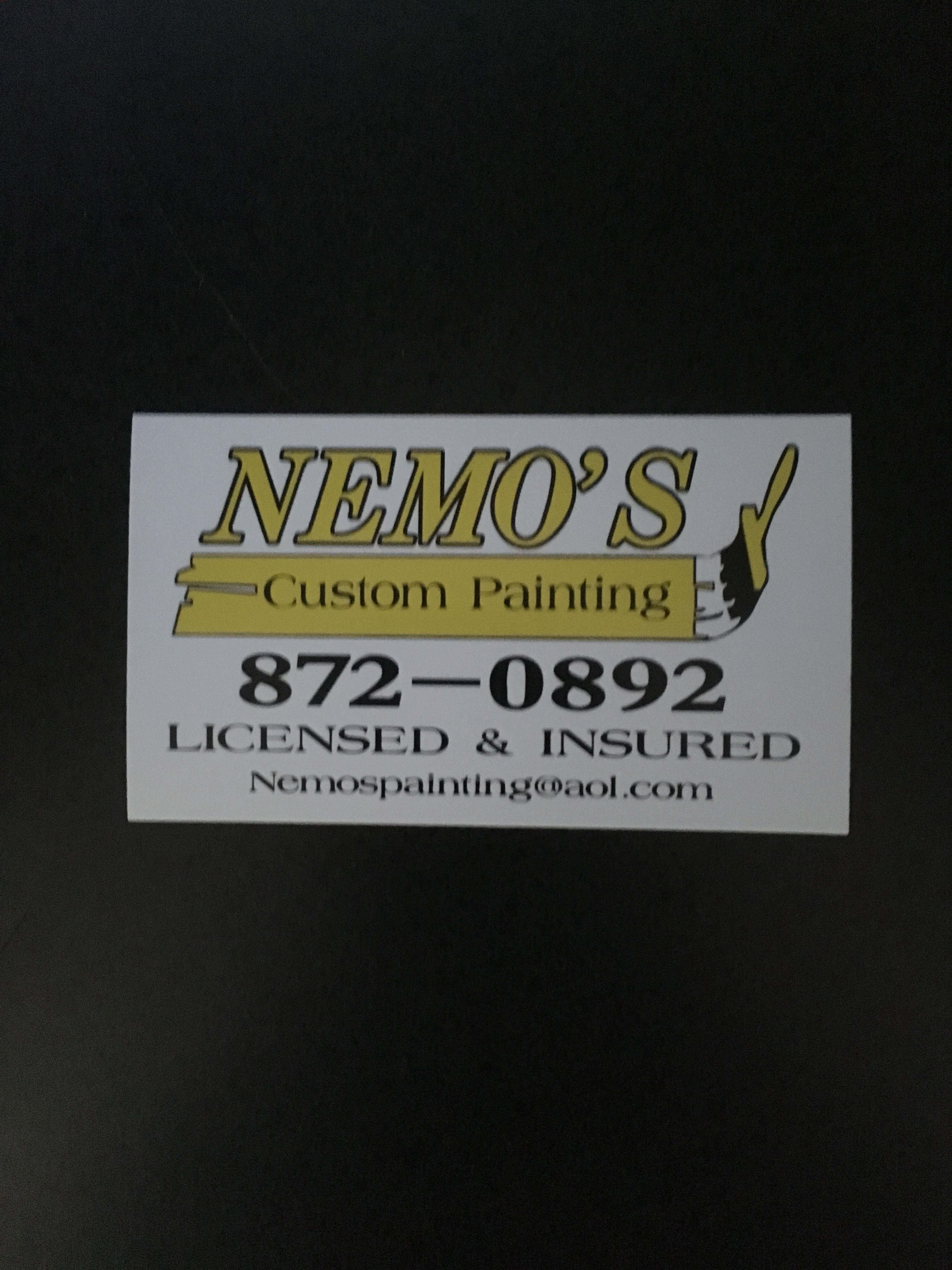 Avatar for Nemo's Custom Painting Inc