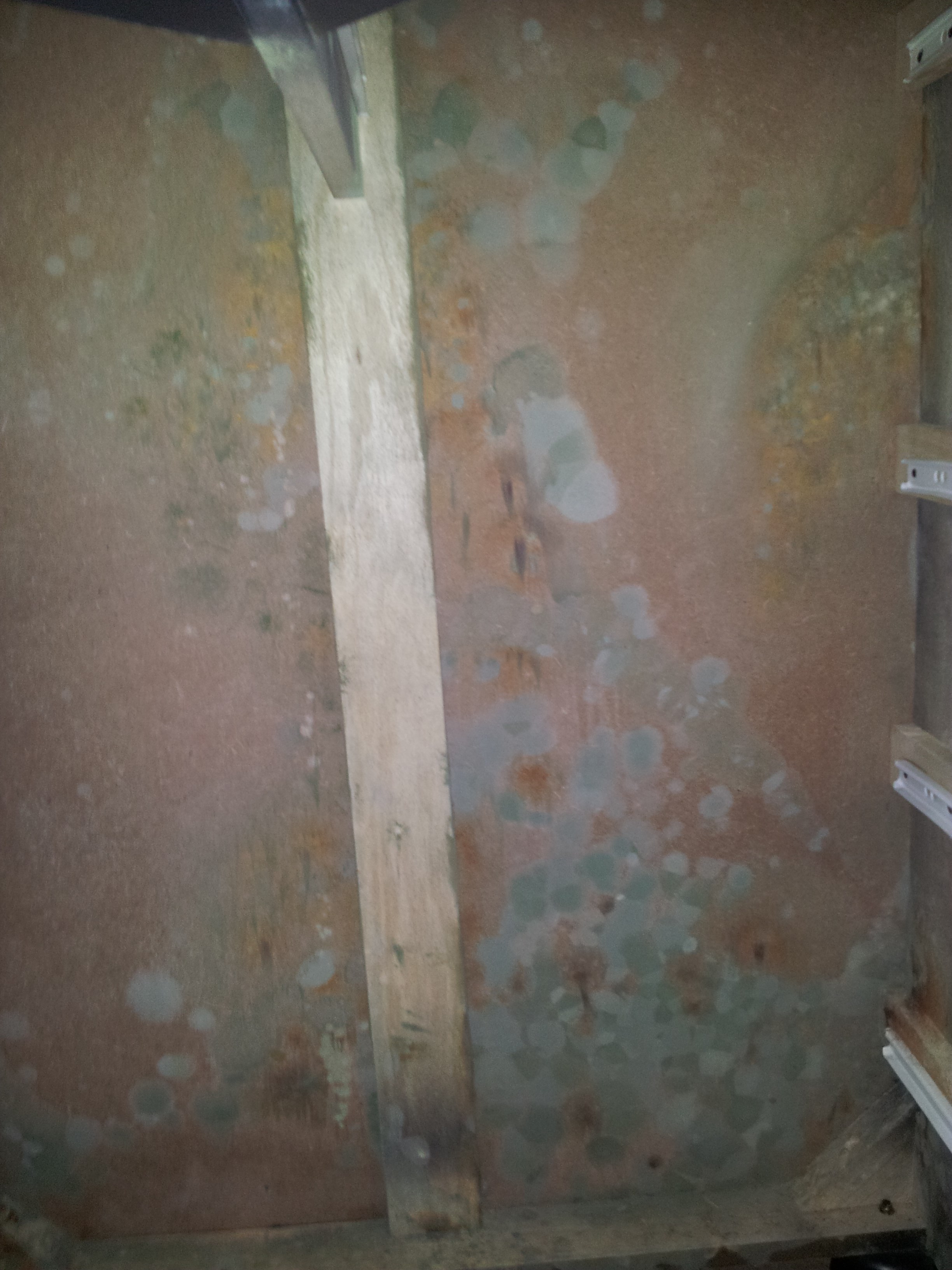Avatar for Bouchard Cleaning & Restoration, Inc.