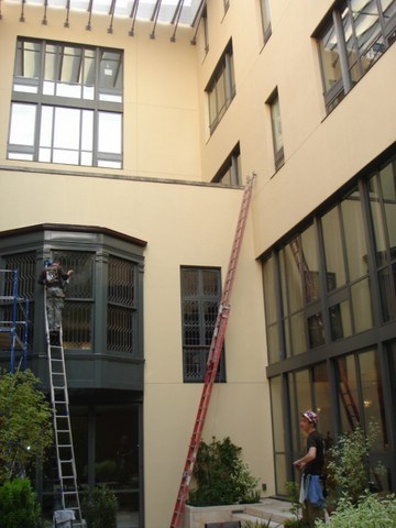 Domino Window Cleaning logo