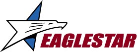 Eaglestar Security logo