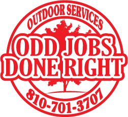 Avatar for Odd Jobs Done Right LLC