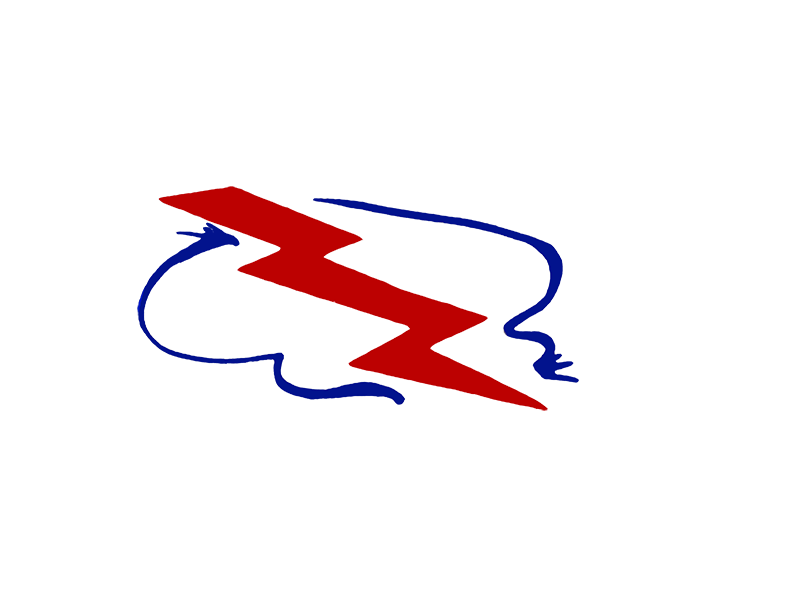 Logo for THUNDER ELECTRIC