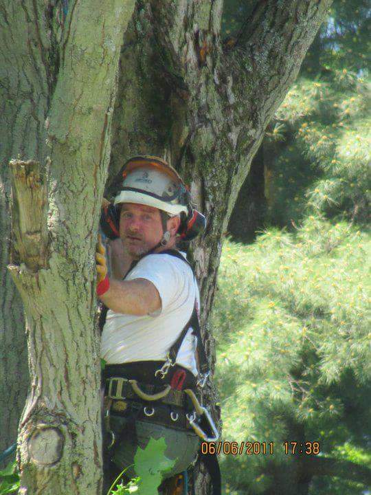T & J Williams Tree Service logo