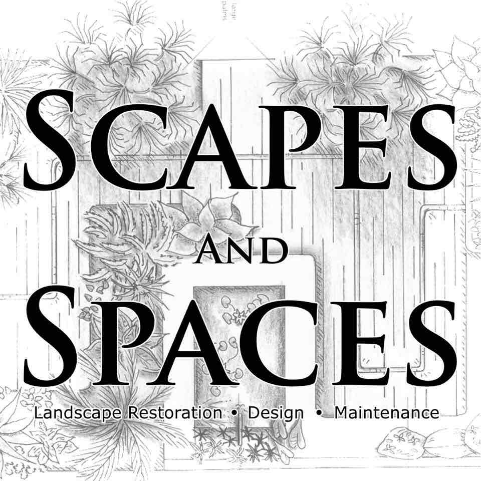 Scapes and Spaces logo