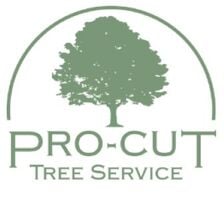 Avatar for PRO-CUT TREE SERVICE