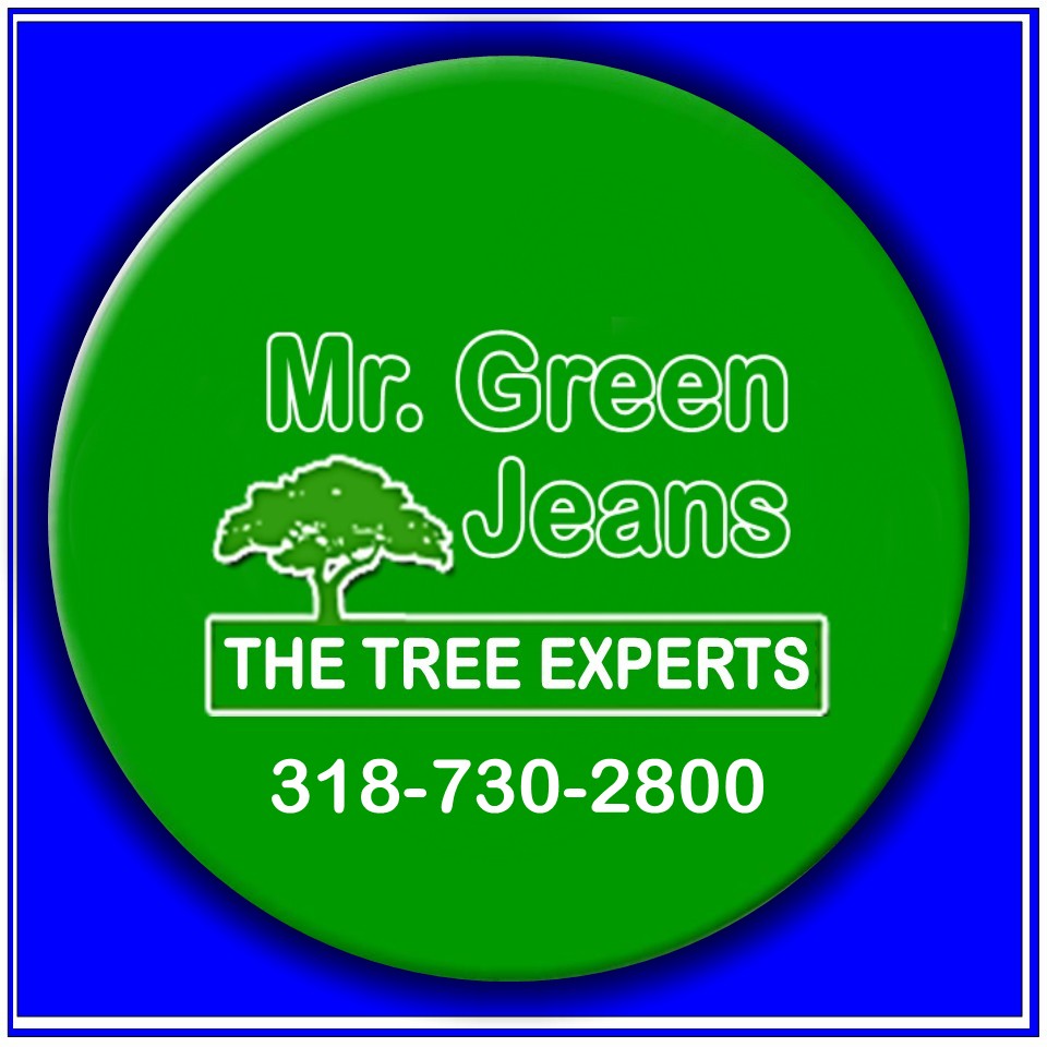 Avatar for Mr. Greenjeans Tree Service