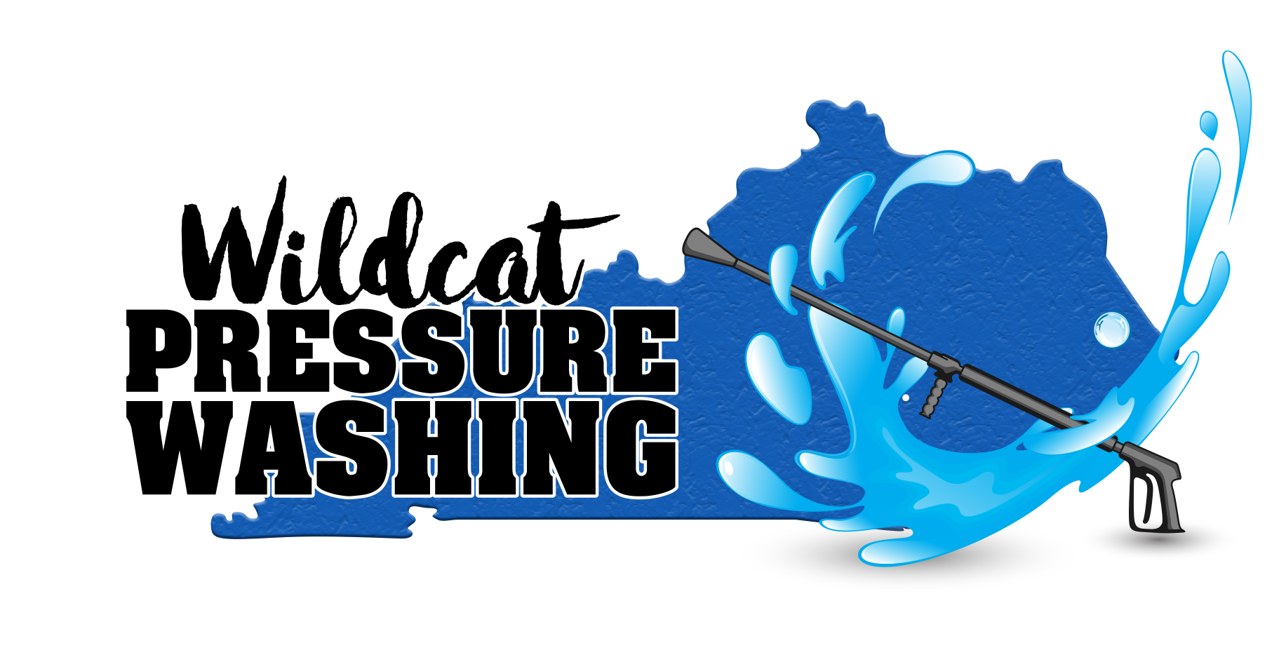 Avatar for Wildcat Pressure Washing