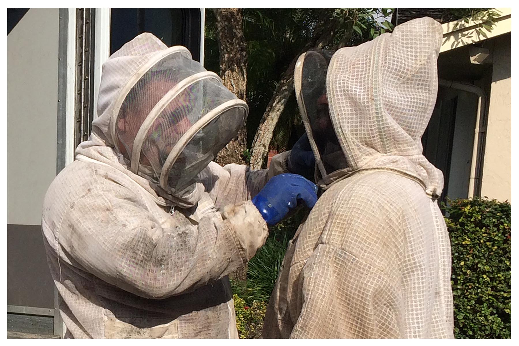 Avatar for AA Native Wildlife Removal & Bee Removal
