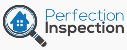 Avatar for Perfection Inspection