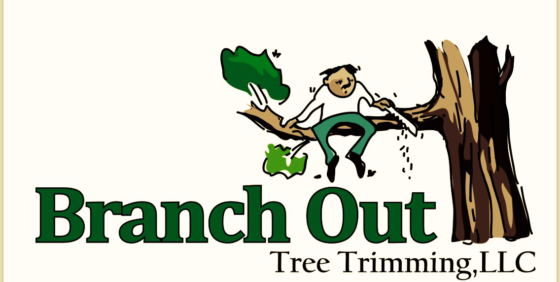 Avatar for Branch Out Tree Trimming LLC
