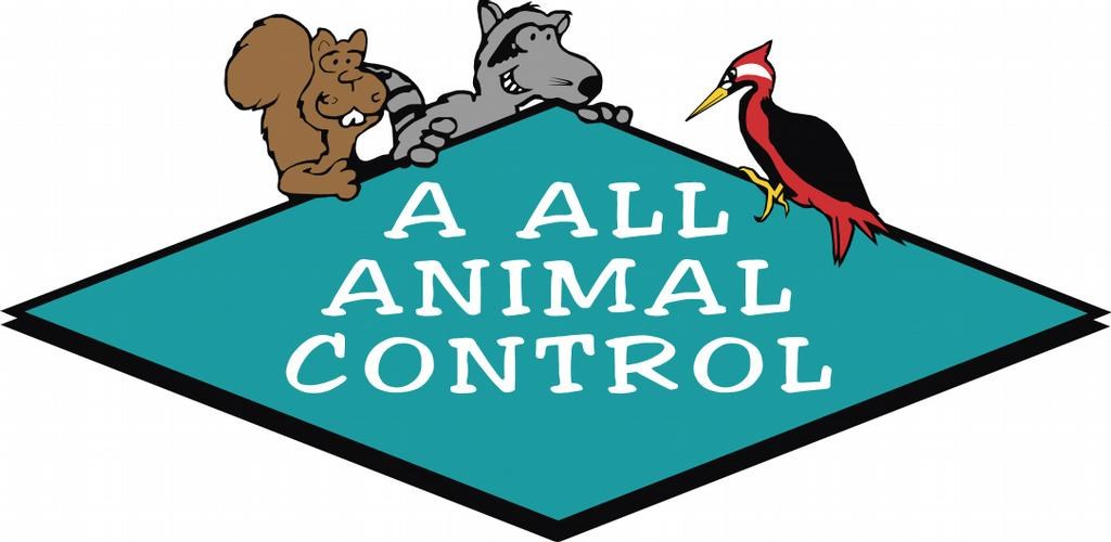 Avatar for A All Animal Control of Louisville, LLC