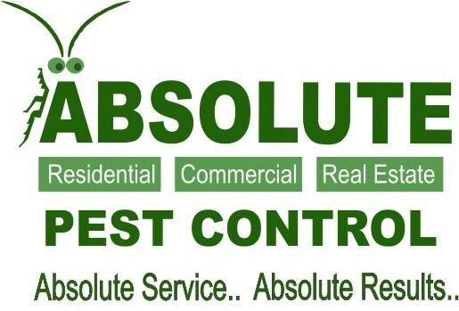 Avatar for ABSOLUTE PEST CONTROL