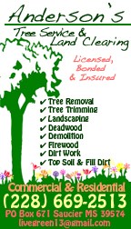 Avatar for Anderson's Tree Service & Land Clearing