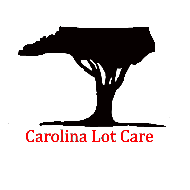 Avatar for Carolina Lot Care