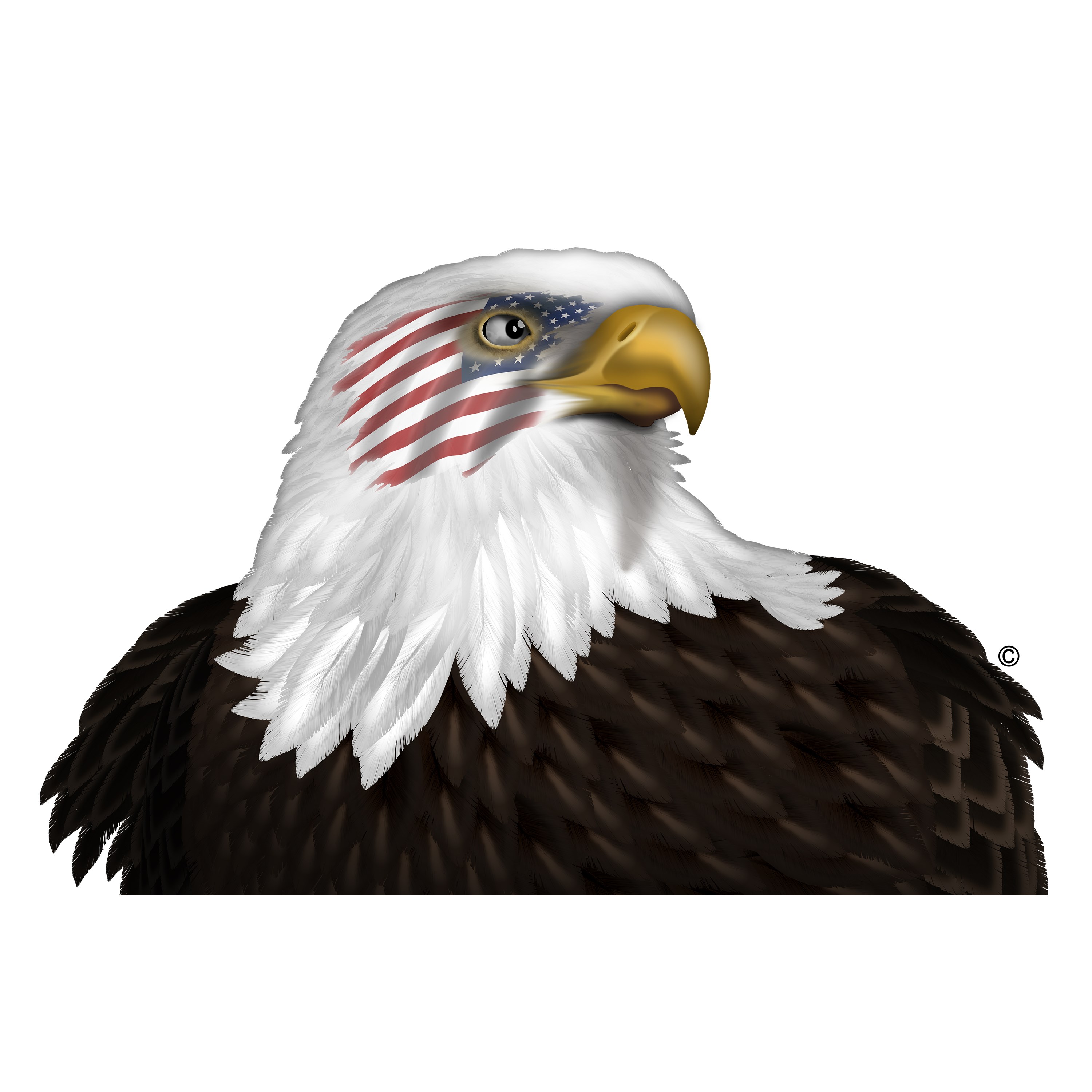 Avatar for Eagle Eye Home Inspection Co.