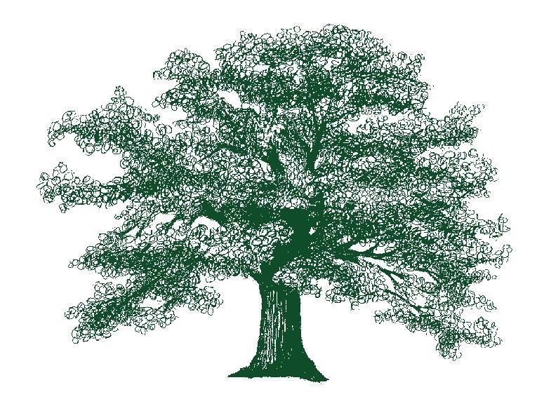 Avatar for Southern Oregon Tree Care LLC