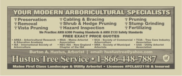 Avatar for HUSTUS TREE SERVICE