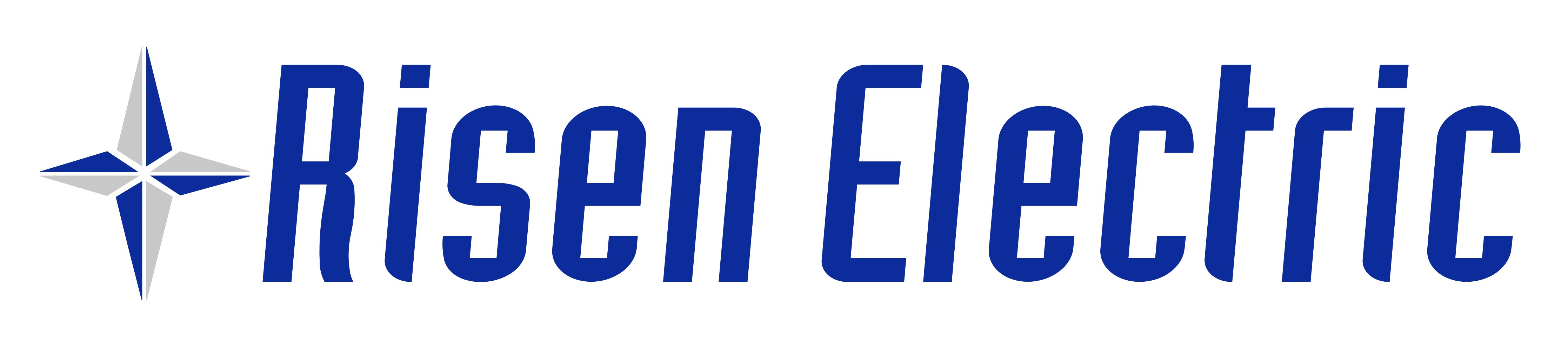 Avatar for Risen Electric