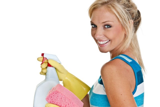 The Clean Maids, LLC logo