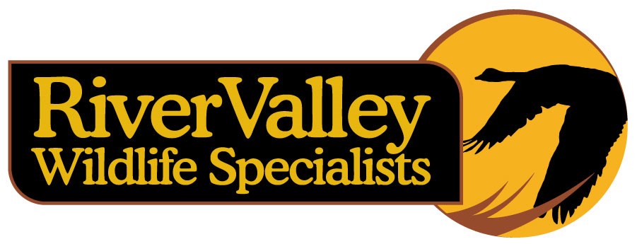Avatar for River Valley Wildlife Specialists LLC