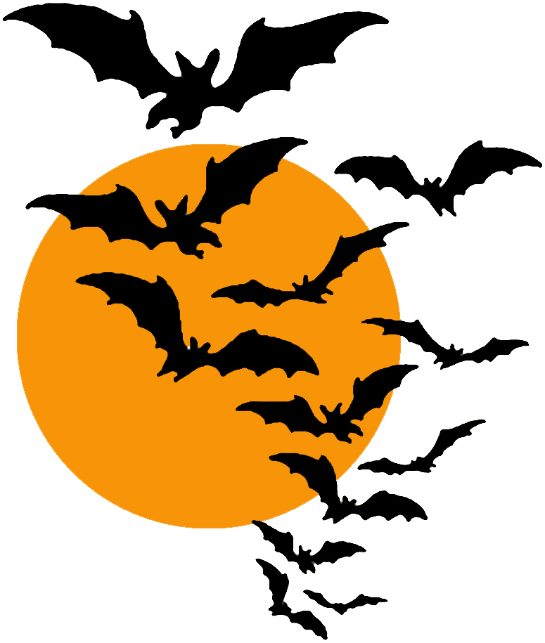 Avatar for Bat Specialists of Wisconsin
