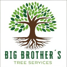 Avatar for BIG BROTHERS TREE SERVICE
