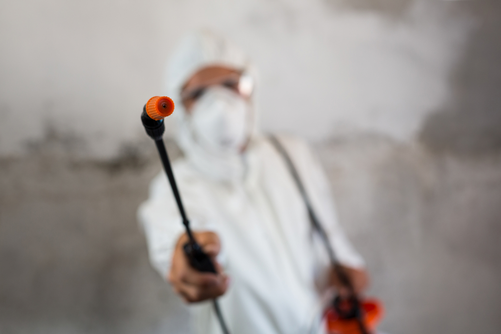 Avatar for BEST PEST CONTROL