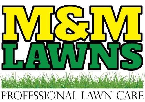 Avatar for M&M Lawns