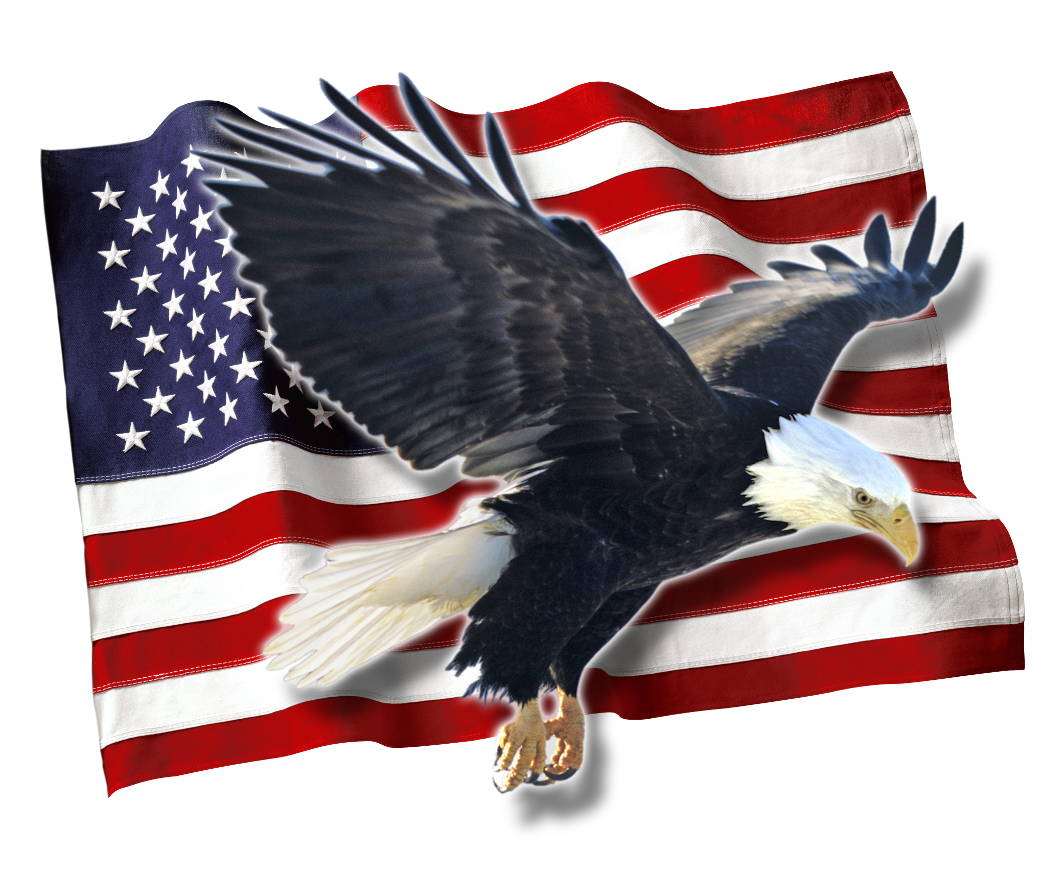 Avatar for AMERICAN ROOFING & EXTERIORS