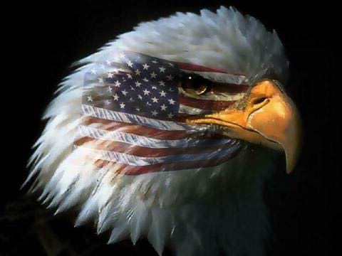 Avatar for EAGLE EYE PAINTING INC