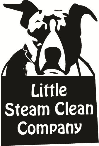 Avatar for Little Steam Clean Company