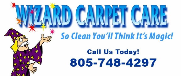 WIZARD CARPET CARE logo