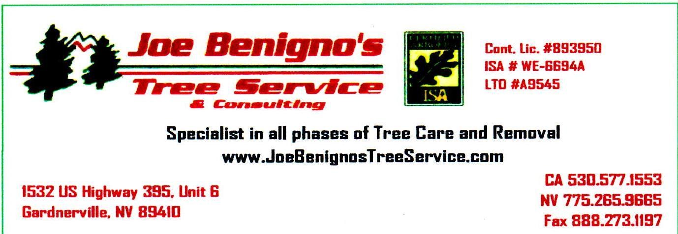 Joe Benigno's Tree Service Inc logo