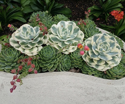 Avatar for Schnetz Landscape Inc