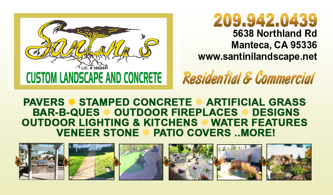 Avatar for Santini's Landscaping & Maintenance