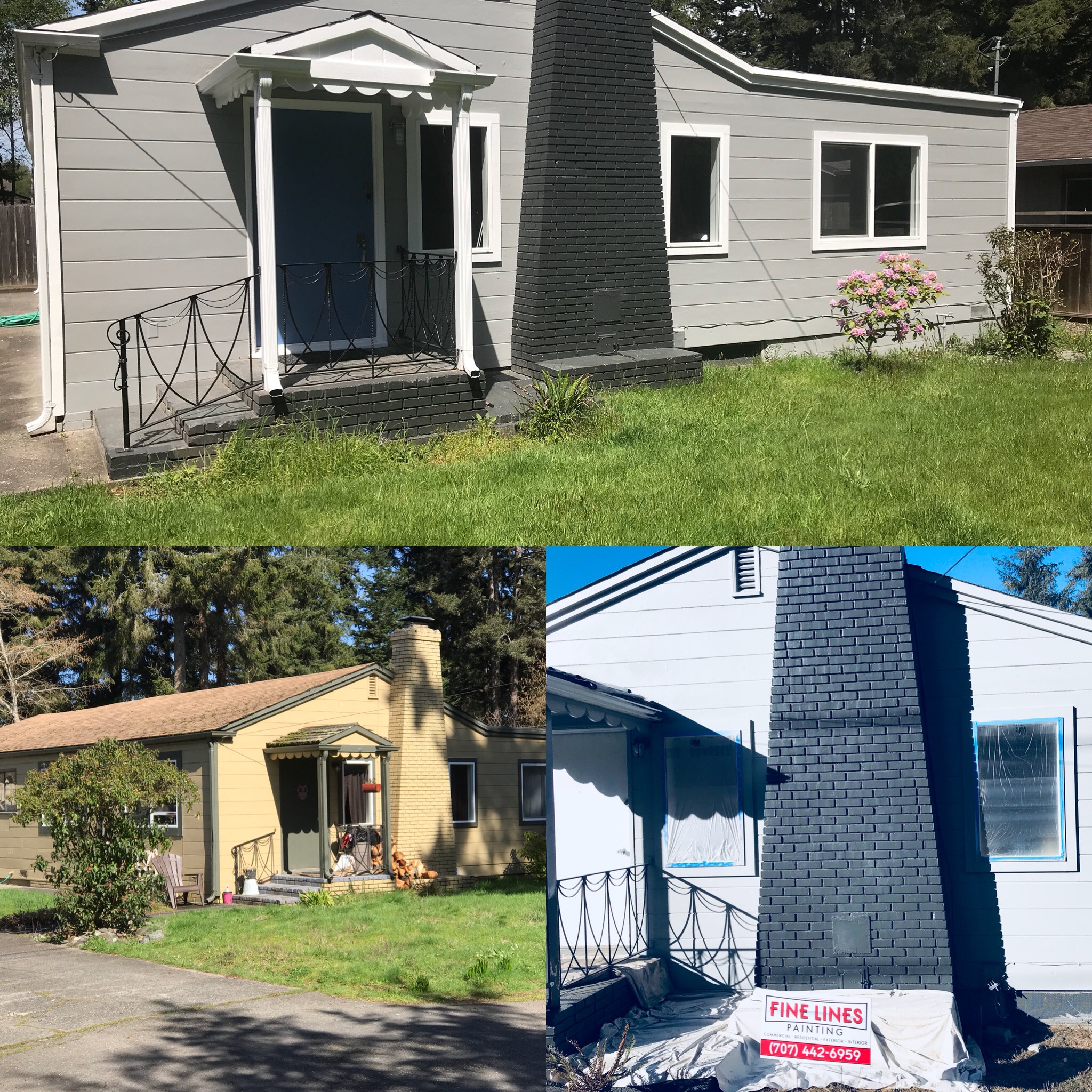 Avatar for FINE LINES PAINTING