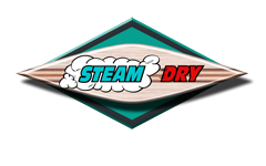 Avatar for Steam Dry