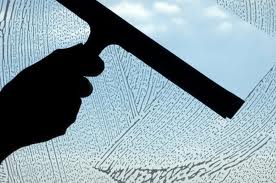 Logo for Pure Light Window & Gutter Cleaning
