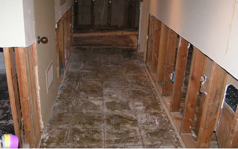 Avatar for 1st Water Damage Restoration