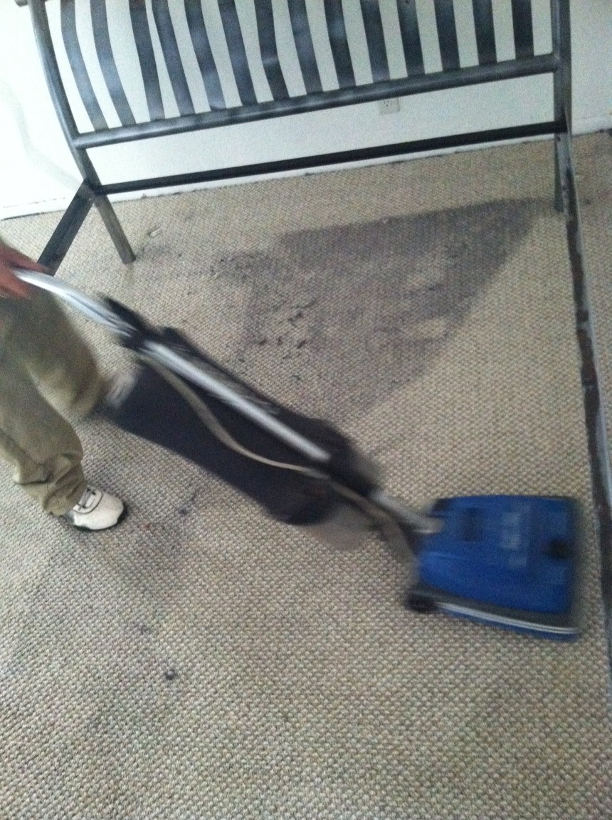 Logo for Professional Carpet & Upholstery Cleaning Services