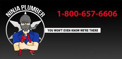 Logo for Ninja Plumber